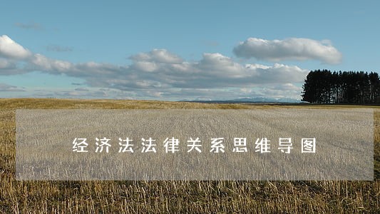 经济法法律关系思维导图 经济法法律关系思维导图