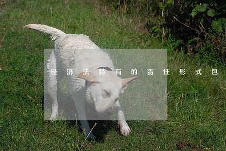 经济法特有的责任形式包括