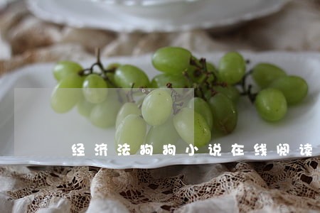 经济法狗狗小说在线阅读 经济法狗狗小说在线阅读