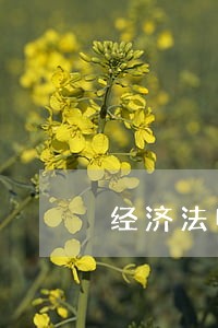 经济法电子书陆明云 经济法电子书陆明云