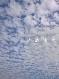 经济法白话书 经济法白话书