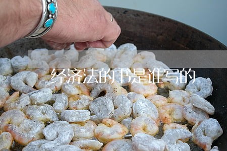 经济法的书是谁写的 经济法的书是谁写的