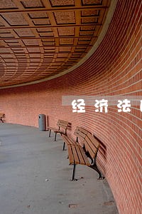 经济法的实现和实效 经济法的实现和实效