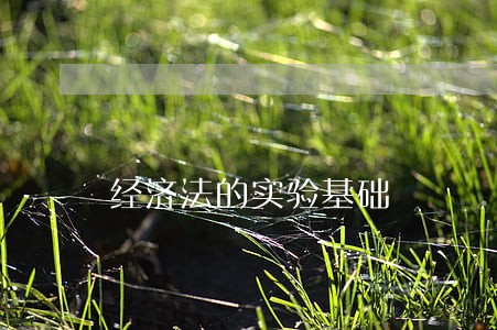 经济法的实验基础 经济法的实验基础