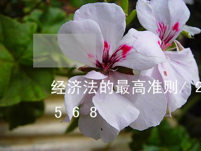 经济法的最高准则/2023021501568