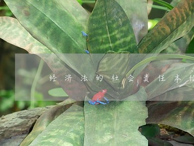 经济法的社会责任本位的具体表现 经济法的社会责任本位的具体表现
