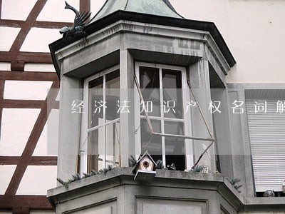 经济法知识产权名词解释 经济法知识产权名词解释