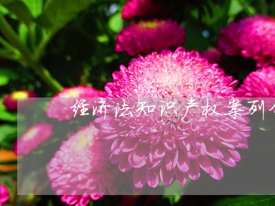 经济法知识产权案列分析