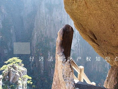 经济法知识产权知识点总结 经济法知识产权知识点总结