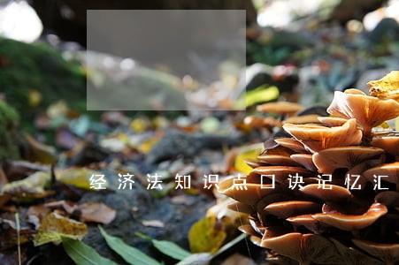 经济法知识点口诀记忆汇总