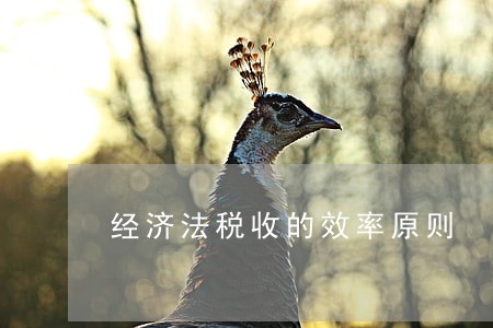 经济法税收的效率原则