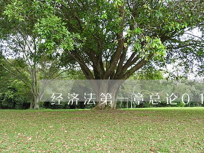 经济法第一章总论010202 经济法第一章总论010202