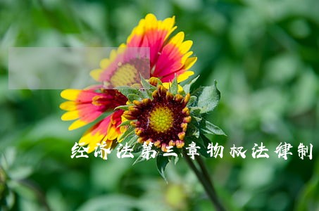 经济法第三章物权法律制度作业 经济法第三章物权法律制度作业
