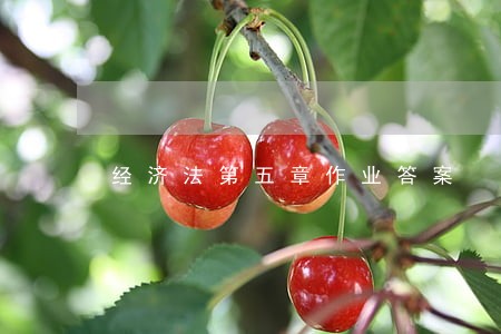 经济法第五章作业答案