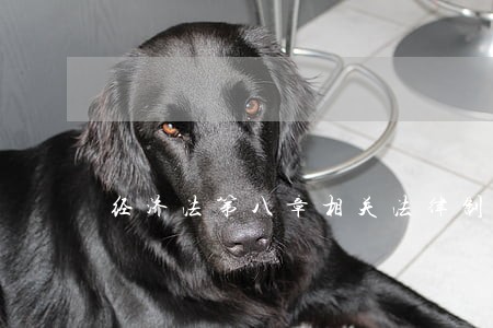 经济法第八章相关法律制度