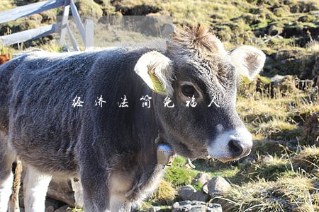 经济法简免福人 经济法简免福人