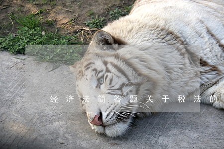 经济法简答题关于税法的计算题 经济法简答题关于税法的计算题
