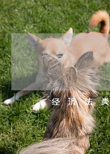 经济法类的学生需考什么证书 经济法类的学生需考什么证书
