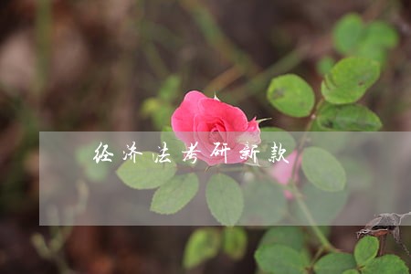 经济法考研新款 经济法考研新款