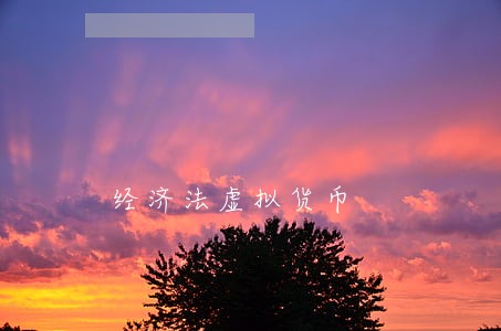 经济法虚拟货币 经济法虚拟货币