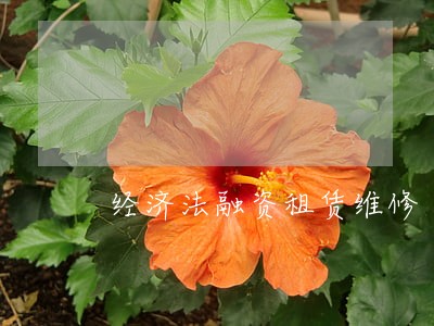 经济法融资租赁维修 经济法融资租赁维修