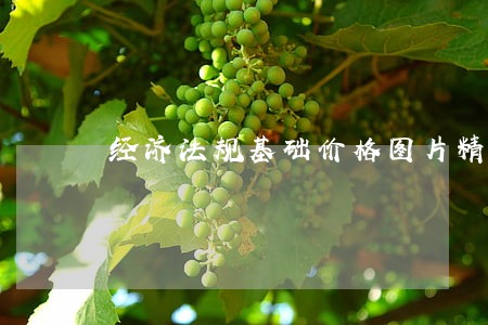 经济法规基础价格图片精选 经济法规基础价格图片精选