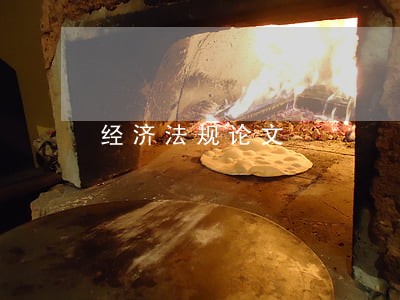 经济法规论文 经济法规论文