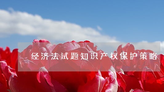 经济法试题知识产权保护策略 经济法试题知识产权保护策略