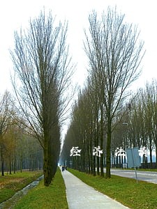 经济法请求权基础