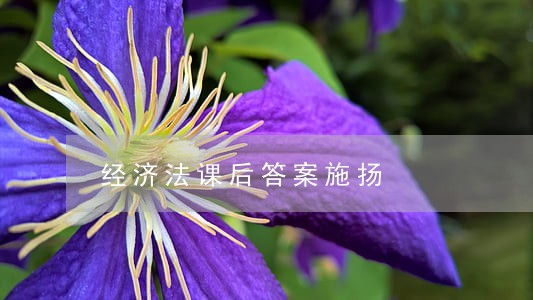 经济法课后答案施扬 经济法课后答案施扬