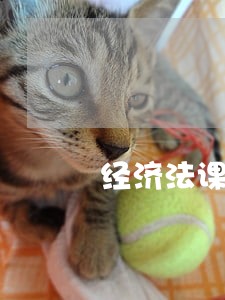 经济法课堂身边故事分享 经济法课堂身边故事分享