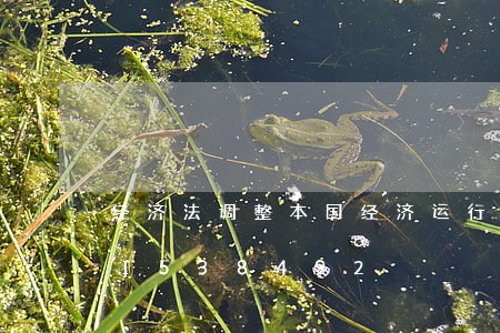 经济法调整本国经济运行中/2023021538492 经济法调整本国经济运行中/2023021538492