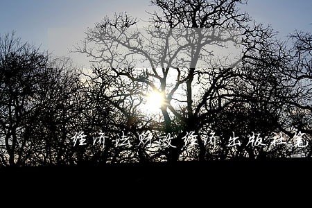 经济法财政经济出版社笔记 经济法财政经济出版社笔记