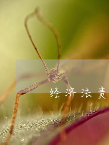 经济法责任与传统责任的区别 经济法责任与传统责任的区别