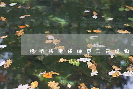 经济法责任体系二元结构二重性 经济法责任体系二元结构二重性
