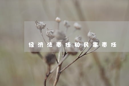 经济法责任和民事责任