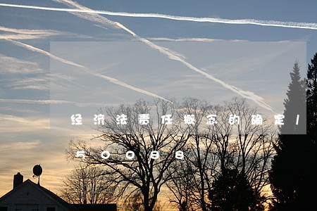 经济法责任概念的确定/2023021550088 经济法责任概念的确定/2023021550088