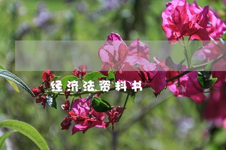 经济法资料书