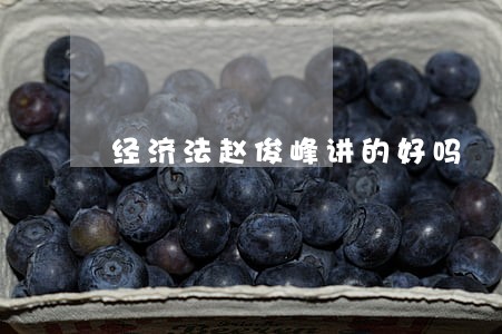 经济法赵俊峰讲的好吗 经济法赵俊峰讲的好吗