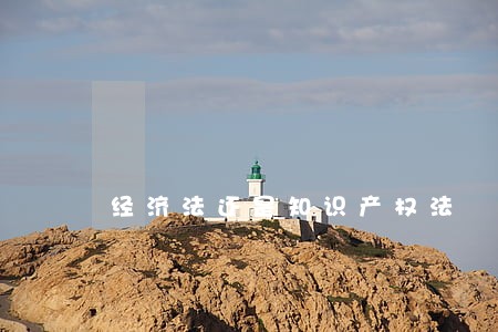 经济法还是知识产权法 经济法还是知识产权法