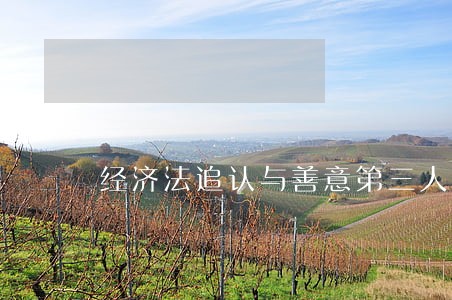 经济法追认与善意第三人 经济法追认与善意第三人