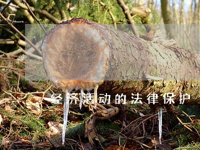 经济活动的法律保护 经济活动的法律保护