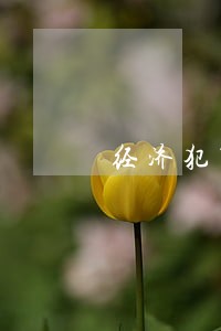 经济犯罪网贷逾期么 经济犯罪网贷逾期么