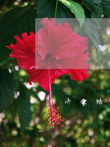 经济索赔诉讼时间 经济索赔诉讼时间
