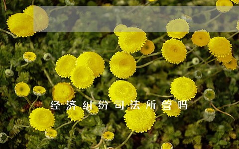 经济纠纷司法所管吗