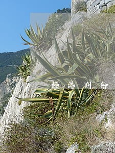 经济纠纷咨询律师免费咨询 经济纠纷咨询律师免费咨询