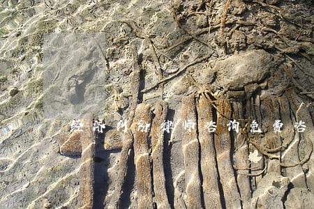 经济纠纷律师咨询免费咨询 经济纠纷律师咨询免费咨询