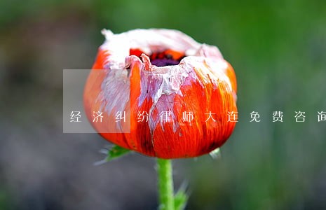 经济纠纷律师大连免费咨询 经济纠纷律师大连免费咨询