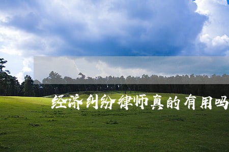 经济纠纷律师真的有用吗 经济纠纷律师真的有用吗