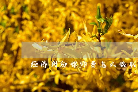 经济纠纷律师费怎么收取 经济纠纷律师费怎么收取